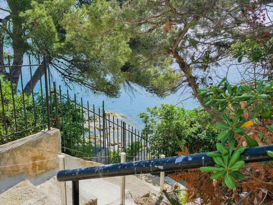 Maisonnette Avec Vue Sur La Mer Exceptionnelle Carqueiranne Exterior photo